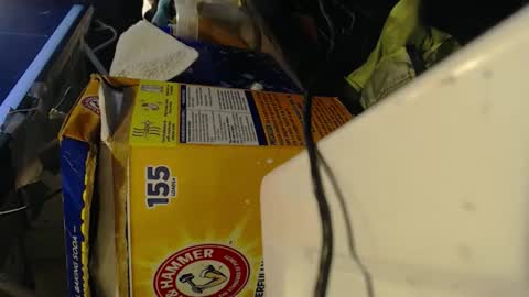 Snapshot of pisanobear chatting on 7, 2, 2026 Pisanobear Daddy loose open HairyHole poppers toys online show from 7, 2, 2026