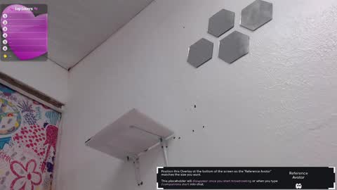 Snapshot of pitervagina chatting on 2, 3, 2025 PITER online show from 2, 3, 2025