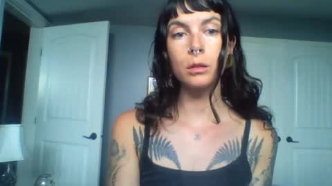 Snapshot of pixiecatfairy chatting on 24, 6, 2026 pixiecatfairy online show from 24, 6, 2026
