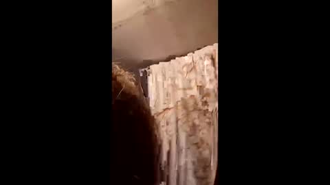 Snapshot of pizzedwife chatting on 4, 2, 2026 pizzedwife online show from 4, 2, 2026