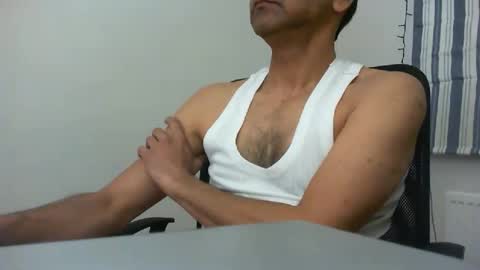 platino3026 online show from 8, 4, 2026