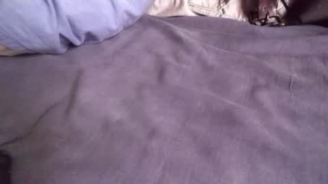 platoniclov online show from 9, 11, 2025