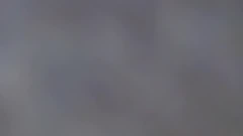 playboypetit online show from 12, 1, 2025