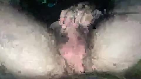 playwitityuh online show from 27, 9, 2025