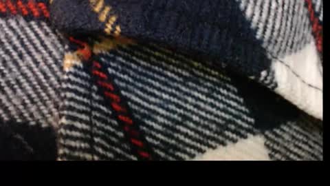 Snapshot of pllkgh45ymn chatting on 10, 9, 2025 pllkgh45ymn online show from 10, 9, 2025