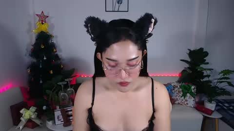 Snapshot of ploysaithailand chatting on 4, 12, 2024 Ploysai online show from 4, 12, 2024