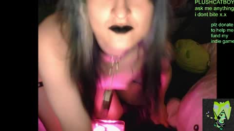 plushcatboy online show from 7, 4, 2026