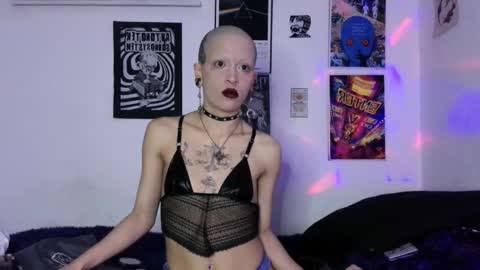    online show from 28, 2, 2026