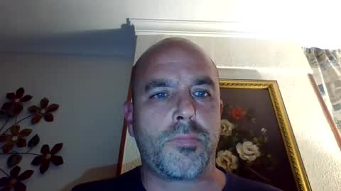 pocoyotop online show from 29, 12, 2024