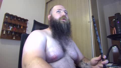 Bear online show from 15, 1, 2025