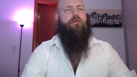 Bear online show from 5, 3, 2025