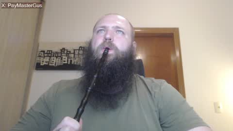 Bear online show from 14, 4, 2026