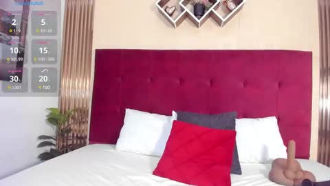 Snapshot of poletlambert chatting on 5, 12, 2024 Polet online show from 5, 12, 2024