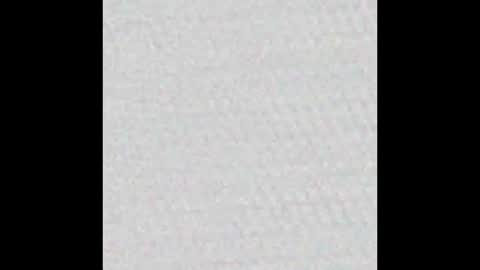 Polly online show from 12, 3, 2025