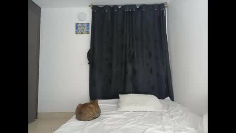 porcelainlux online show from 16, 3, 2026