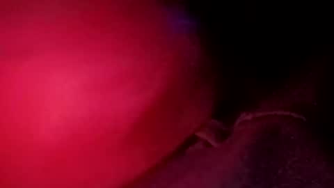 porkchop696974 online show from 20, 2, 2026