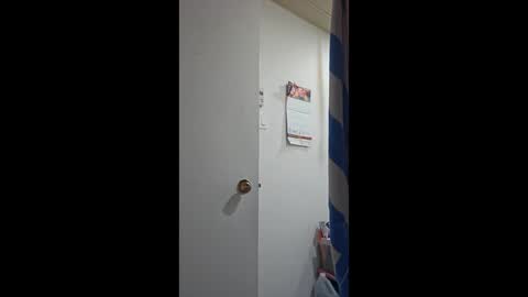 Snapshot of porkynerd chatting on 11, 10, 2025 porkynerd online show from 11, 10, 2025