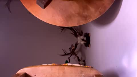 Snapshot of pornstriker chatting on 19, 10, 2025 PornStriker online show from 19, 10, 2025