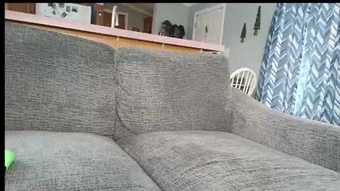 Snapshot of powerstroke345 chatting on 7, 3, 2026 powerstroke345 online show from 7, 3, 2026