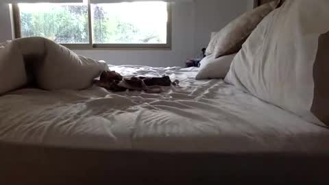 ppsmall_17 online show from 27, 3, 2026