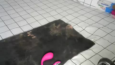 Pretty doll online show from 22, 12, 2025