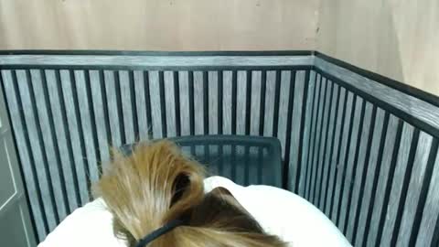 Snapshot of prettykate_04 chatting on 8, 10, 2025 Kate online show from 8, 10, 2025