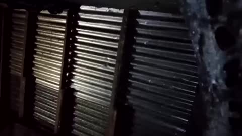 Snapshot of prettyneca5991 chatting on 16, 1, 2026 prettyneca5991 online show from 16, 1, 2026