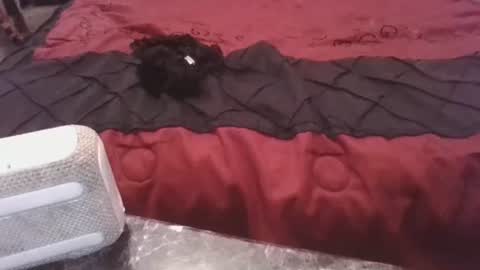 Snapshot of prettyp7729206 chatting on 3, 11, 2025 prettyp7729206 online show from 3, 11, 2025