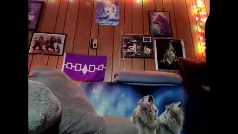 Snapshot of prettysolid7 chatting on 9, 2, 2026 prettysolid7 online show from 9, 2, 2026