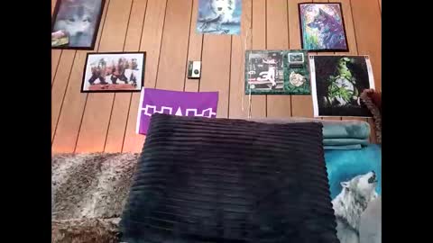 Snapshot of prettysolid7 chatting on 14, 2, 2026 prettysolid7 online show from 14, 2, 2026