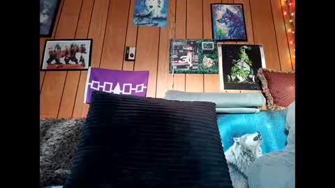 Snapshot of prettysolid7 chatting on 15, 2, 2026 prettysolid7 online show from 15, 2, 2026