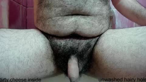 Snapshot of prettyvelludo chatting on 11, 12, 2024 HAIRY GOD online show from 11, 12, 2024