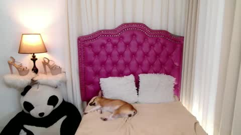 princessyanzy1 online show from 13, 9, 2025