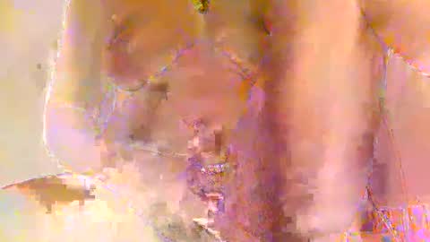 Priscilla online show from 27, 2, 2026