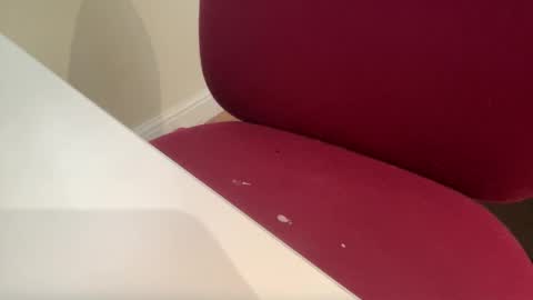 pritchj online show from 10, 3, 2025