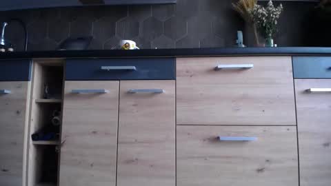 Space online show from 3, 10, 2025