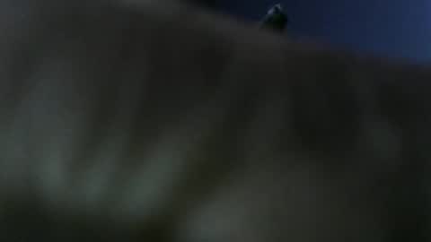 privatefuckit online show from 5, 1, 2026