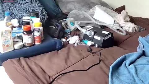 Probardetodo independent model online show from 9, 1, 2026