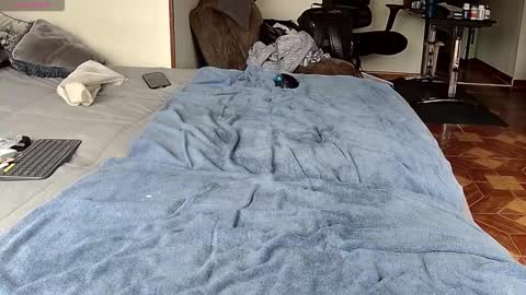 Snapshot of probardetodo chatting on 1, 2, 2026 Probardetodo independent model online show from 1, 2, 2026