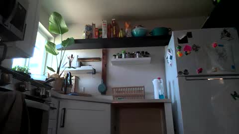 Properfuct online show from 3, 11, 2025