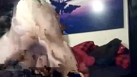 properttw online show from 13, 10, 2025