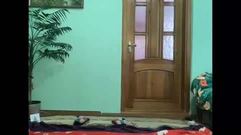 proud sweet 21 online show from 16, 4, 2026