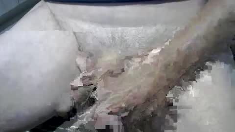 psfunman online show from 13, 2, 2025