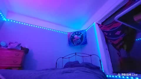 puddled_wonderland online show from 29, 1, 2025