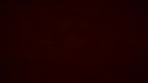 Snapshot of pumpkin_bunny chatting on 19, 12, 2025 Pumpkin bunny online show from 19, 12, 2025