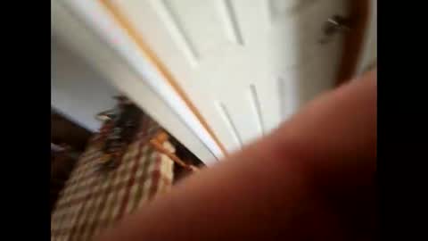 Snapshot of purdyguy7777 chatting on 5, 2, 2025 purdyguy7777 online show from 5, 2, 2025