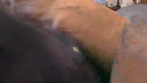 Snapshot of purdyguy7777 chatting on 24, 2, 2026 purdyguy7777 online show from 24, 2, 2026