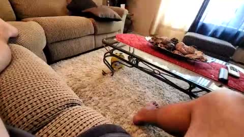 Snapshot of purdyguy7777 chatting on 19, 3, 2026 purdyguy7777 online show from 19, 3, 2026