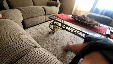 Snapshot of purdyguy7777 chatting on 20, 3, 2026 purdyguy7777 online show from 20, 3, 2026