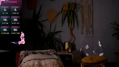 Emily online show from 5, 4, 2026